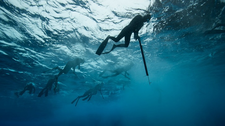 spearfishing tips
